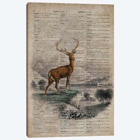 Dictionnaire Universel Stag Canvas Print #FHC345} by FisherCraft Canvas Art Print