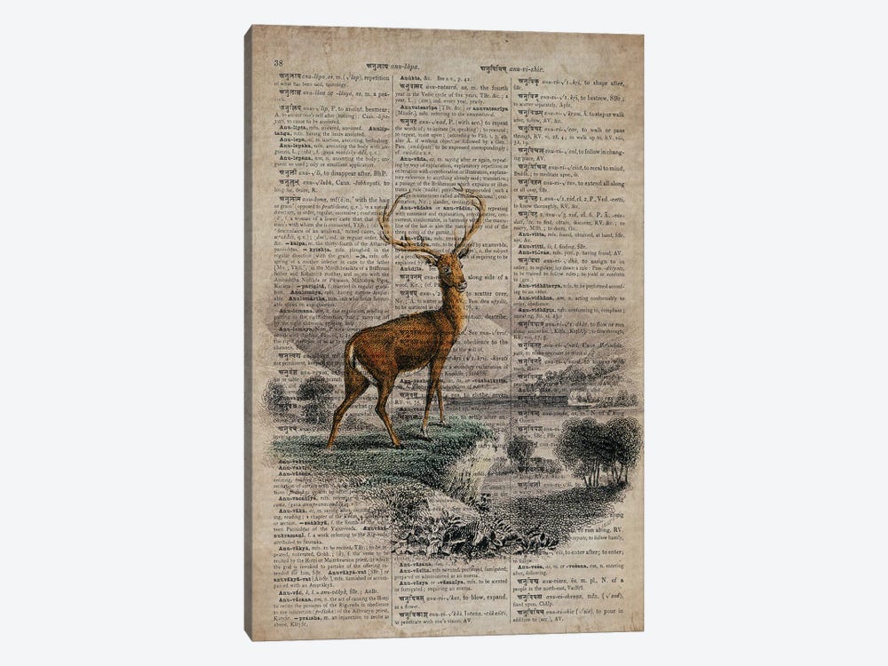 Dictionnaire Universel Stag by FisherCraft 1-piece Canvas Art Print