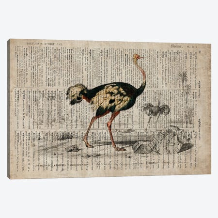 Dictionnaire Universel Emu Canvas Print #FHC346} by FisherCraft Art Print