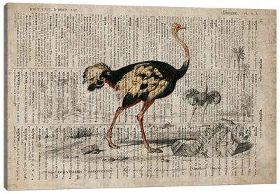 Dictionnaire Universel Emu Canvas Art Print - FisherCraft