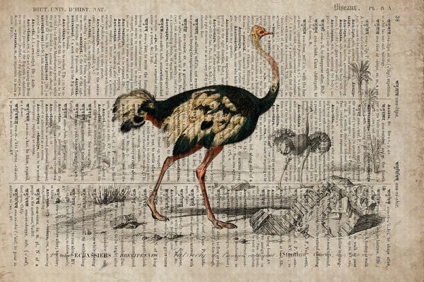 Emus: Dictionnaire Universel Emu by FisherCraft