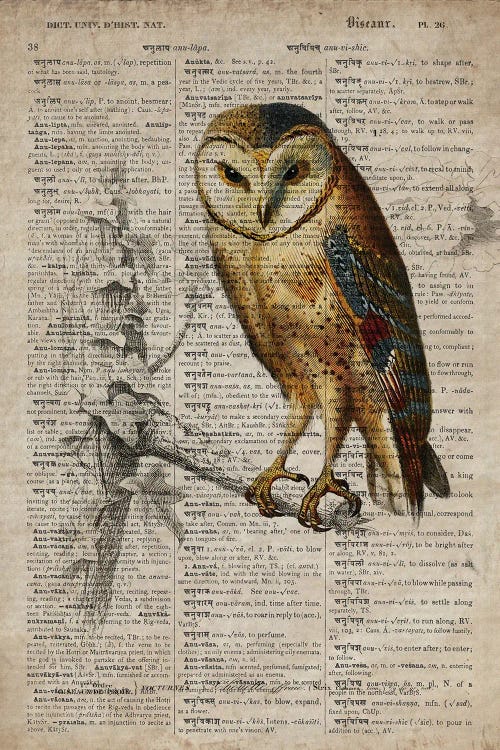 Dictionnaire Universel Owl