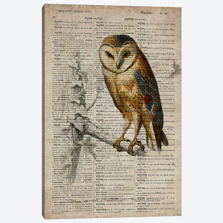 Dictionnaire Universel Owl Canvas Print #FHC347} by FisherCraft Canvas Art Print