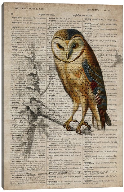 Dictionnaire Universel Owl Canvas Art Print - Dark Academia