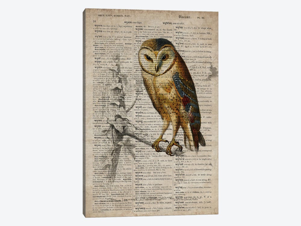 Dictionnaire Universel Owl by FisherCraft 1-piece Art Print