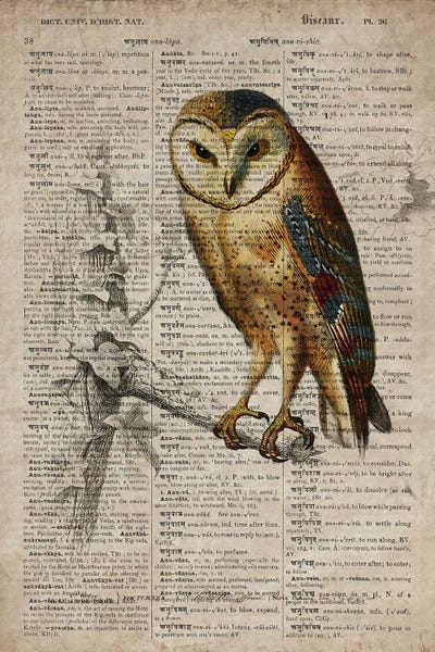 Dark Academia: Dictionnaire Universel Owl by FisherCraft