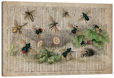 Dictionnaire Universel Bees Canvas Art Print - Dark Academia