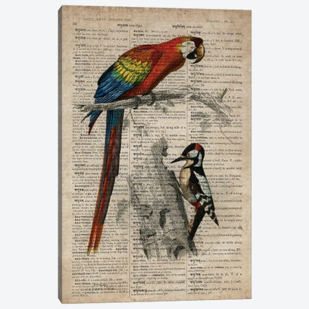 Dictionnaire Universel Parrot And Woodpecker Canvas Print #FHC349} by FisherCraft Canvas Wall Art