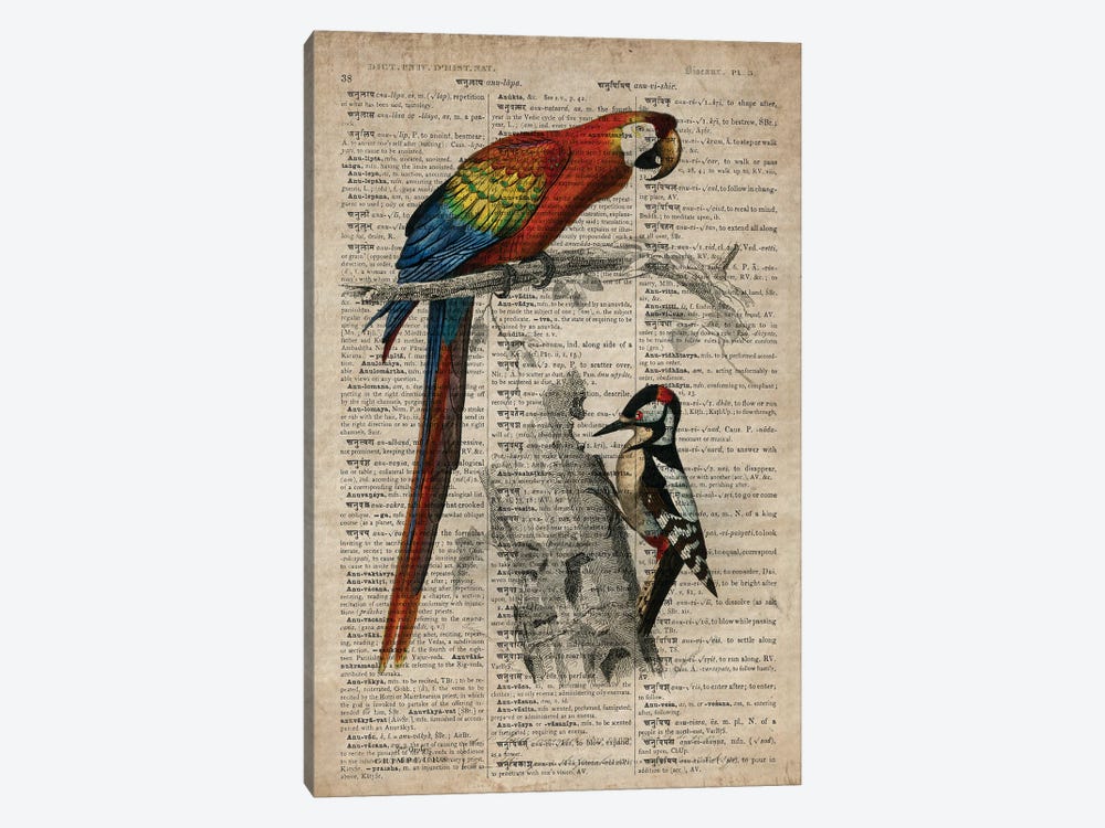 Dictionnaire Universel Parrot And Woodpecker by FisherCraft 1-piece Canvas Print