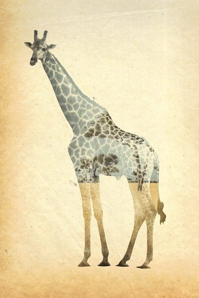 Giraffe Double Exposure by FisherCraft canvas print