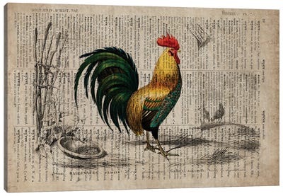 Dictionnaire Universel Cockerel Canvas Art Print - FisherCraft