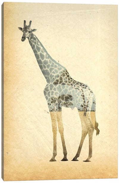 Giraffe Double Exposure Canvas Art Print - FisherCraft