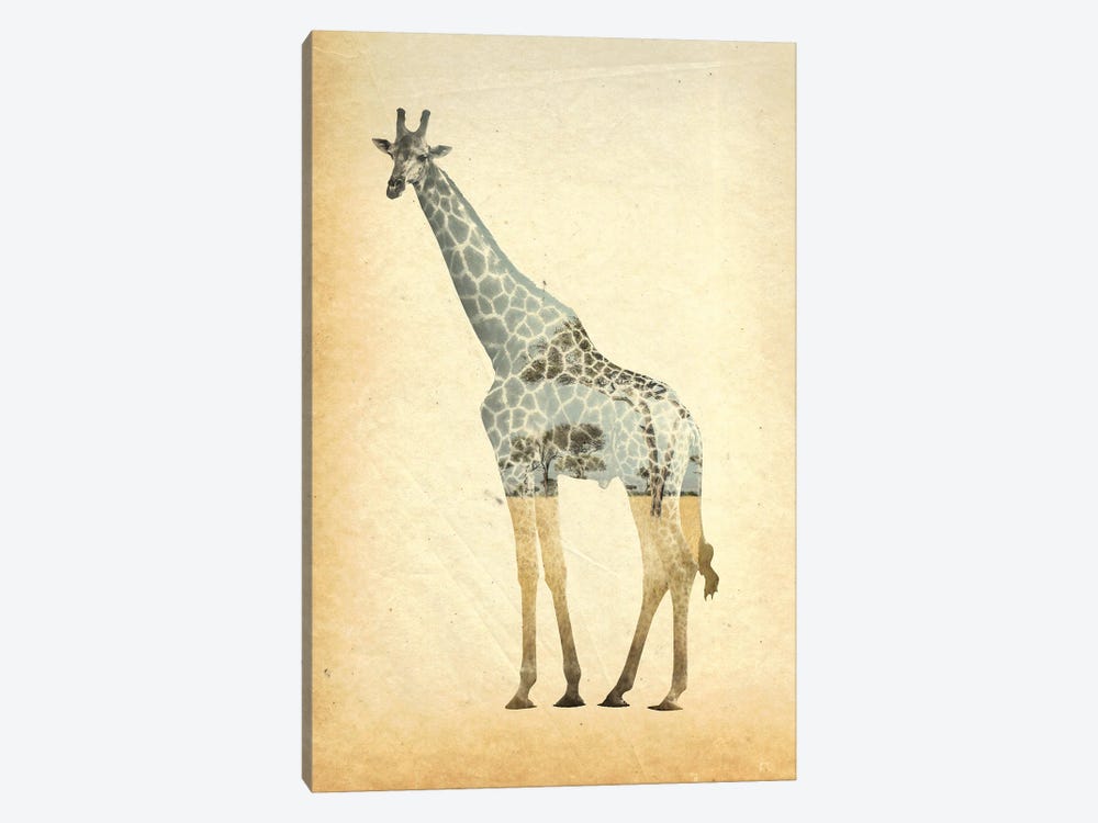 Giraffe Double Exposure by FisherCraft 1-piece Canvas Print