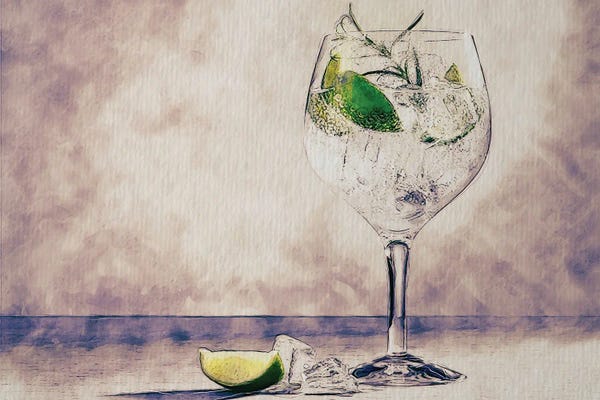 Gin: Gin And Tonic by FisherCraft