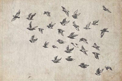 Flock Of Birds by FisherCraft canvas print
