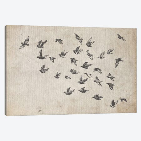 Flock Of Birds Canvas Print #FHC387} by FisherCraft Canvas Art Print