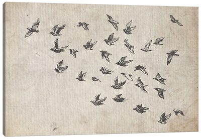 Flock Of Birds Canvas Art Print - FisherCraft