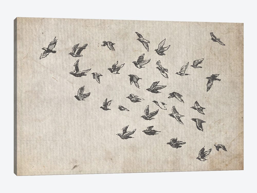 Flock Of Birds by FisherCraft 1-piece Canvas Print