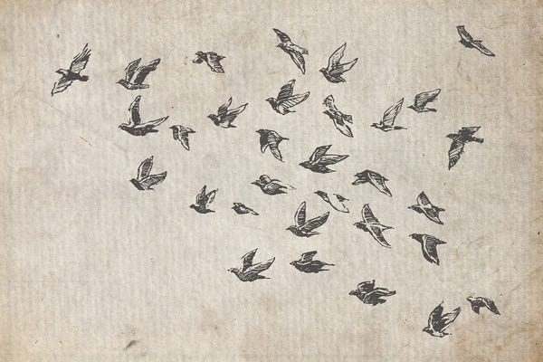 Giclee Features: Flock Of Birds by FisherCraft