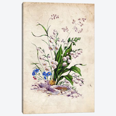 Vintage Lily Of The Valley Canvas Print #FHC416} by FisherCraft Art Print