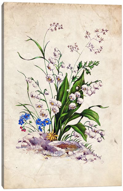 Vintage Lily Of The Valley Canvas Art Print - Dark Academia