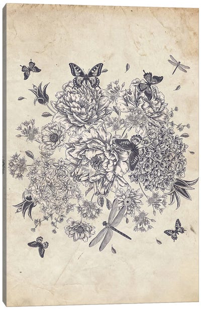 Flowers, Butterflies, And Dragonflies Canvas Art Print - Butterfly Art