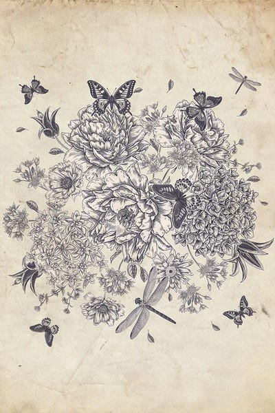 Vintage Botanical Illustrations: Flowers, Butterflies, And Dragonflies by FisherCraft