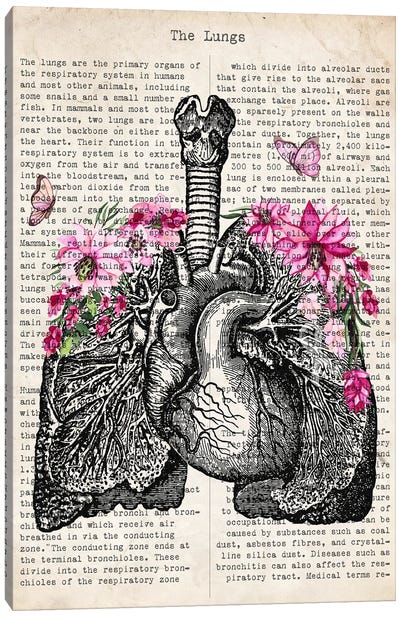 Flower Lungs Canvas Art Print - Anatomy Art