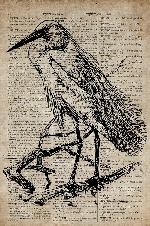 Heron Etching Print XI On Old Dictionary Paper