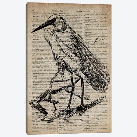 Heron Etching Print XI On Old Dictionary Paper Canvas Print #FHC47} by FisherCraft Canvas Artwork