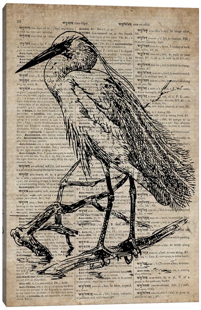 Heron Etching Print XI On Old Dictionary Paper Canvas Art Print - Cottagecore Goes Coastal