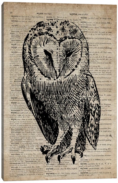 Owl Etching Print V On Old Dictionary Paper Canvas Art Print - Dark Academia