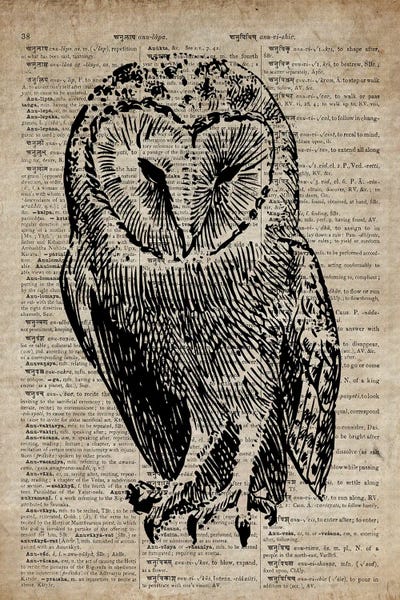 Dark Academia: Owl Etching Print V On Old Dictionary Paper by FisherCraft