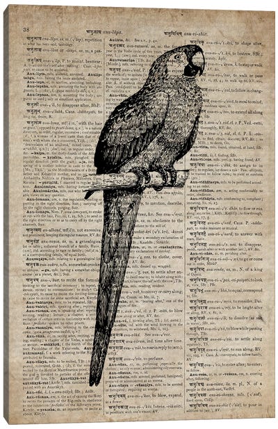 Parrot Etching Print VII On Old Dictionary Paper Canvas Art Print - FisherCraft