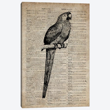 Parrot Etching Print VII On Old Dictionary Paper Canvas Print #FHC64} by FisherCraft Canvas Artwork