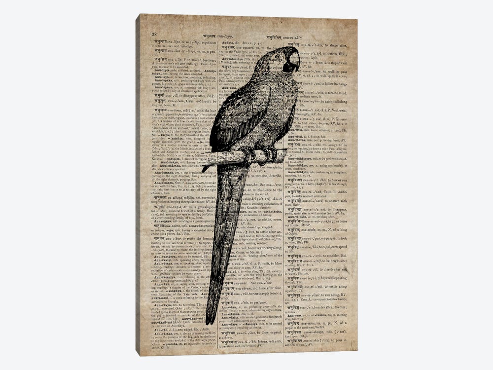 Parrot Etching Print VII On Old Dictionary Paper by FisherCraft 1-piece Art Print