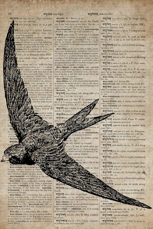 Swallow Etching Print X On Old Dictionary Paper