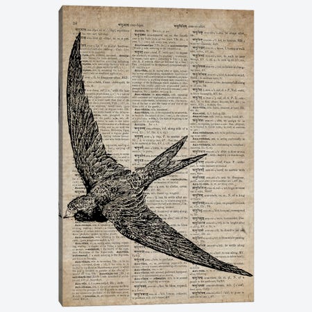 Swallow Etching Print X On Old Dictionary Paper Canvas Print #FHC82} by FisherCraft Canvas Print