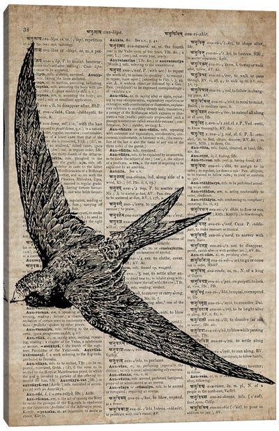 Swallow Etching Print X On Old Dictionary Paper Canvas Art Print - Dark Academia