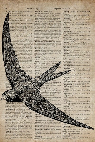 Novels & Scripts: Swallow Etching Print X On Old Dictionary Paper by FisherCraft