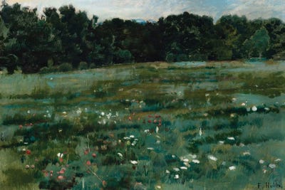 Canvas Print: Landscape With Meadow And Forest Edge (Ca. 1898) by Ferdinand Hodler - thumbnail