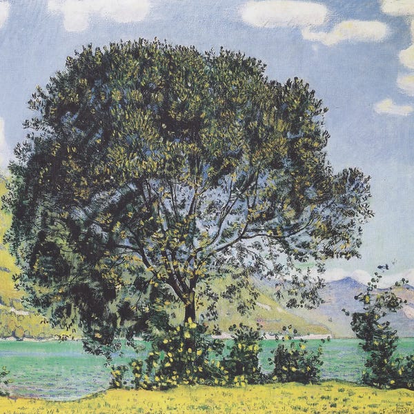 Ferdinand Hodler: Tree On Lake Brienz As Seen From Bödeli - 1906 by Ferdinand Hodler