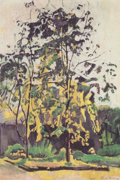 Trees in the studio garden - 1917