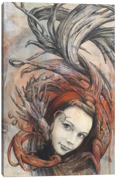 Erin's Dragon Canvas Art Print - Fiona Francois