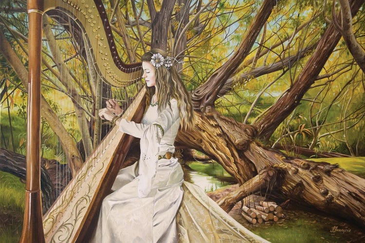 Harpist Of The Valley by Fiona Francois wall art