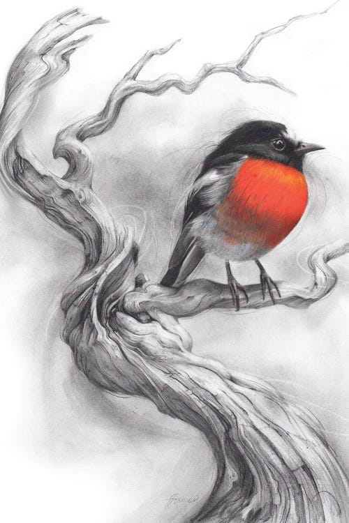 Scarlet Robin