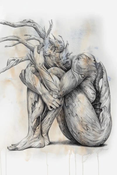 Similar To Frida Kahlo: Skin Deep by Fiona Francois