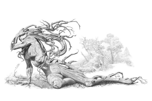 Black & White Florals: The Fallen by Fiona Francois