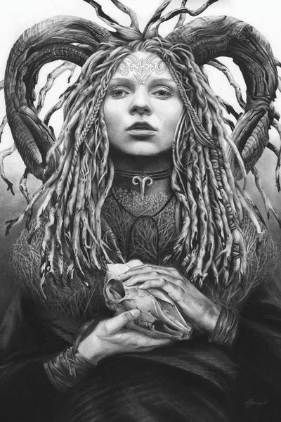 Aries: Zodiac Aries by Fiona Francois