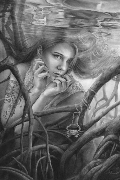 Cancer: Zodiac Cancer by Fiona Francois